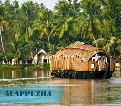 Seo For Interior / Hardwares / Software Companies Agency @ Alappuzha