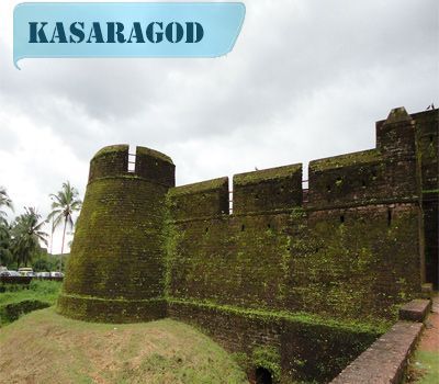 Whatsapp (mobile) Marketing Agency @ Kasaragod